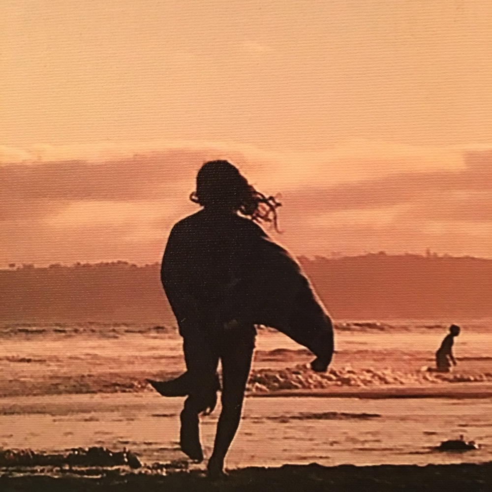 Hello  Summer you will be missed.